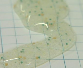 The European Parliament wants to ban microplastics in cosmetics